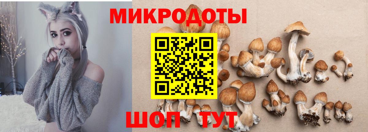 закладка  Вход с VPN  Приморско-Ахтарск  Галлюциногенные грибы мухоморы 