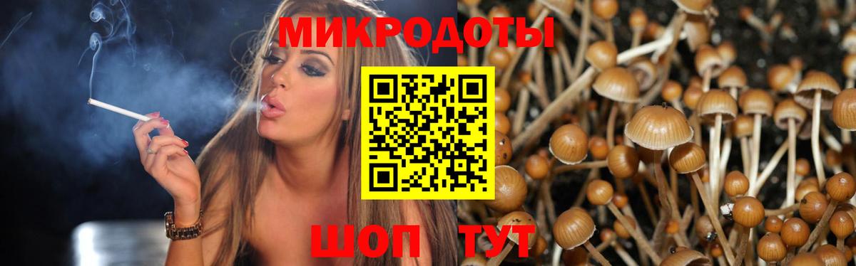 Галлюциногенные грибы Psilocybine cubensis Приморско-Ахтарск